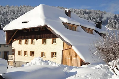 Domek letniskowy Urlop wypoczynkowy Bernau im Schwarzwald