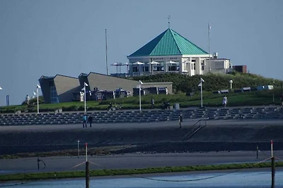 Seehund Komfortable Ferienresidenz