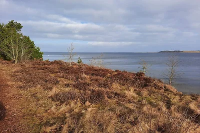 6 Personen Ferienhaus in Højslev-By Traum