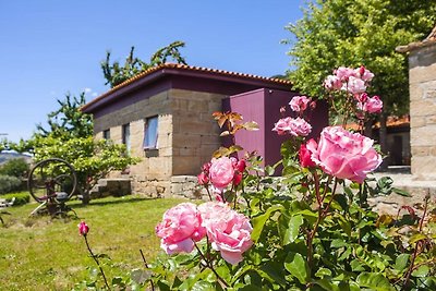 Ferienhaus in Carrazeda de Ansiães mit privat...