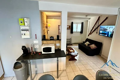 Apartment in Mont-Dore in der Nähe der Skipis...