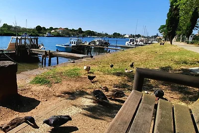 Wohnung in Monflanquin am Waldsee