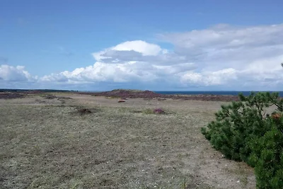 4 Personen Ferienhaus in Læsø-By Traum