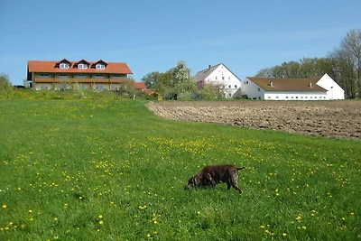 Wohnung in Rotthalmünster mit Garten