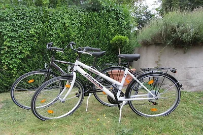 Ferienwohnung mit 1 Schlafzimmer