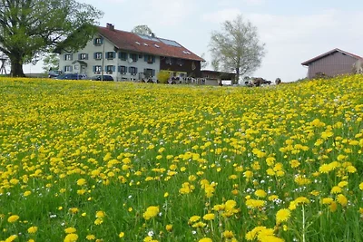 Apartamento vacacional en Wertach con Wi-Fi