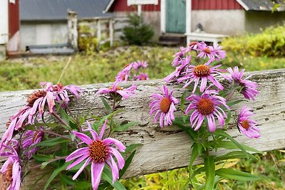 13 persoons vakantie huis in KYRKHULT