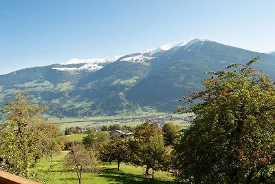 Wohnung im Zillertal nahe Skipisten