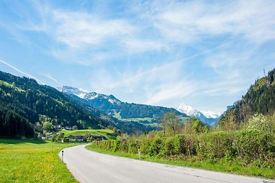 Wohnung in Hainzenberg in einem Skigebiet