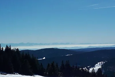 Vakantieappartement Bernau Dorf - Appartement...