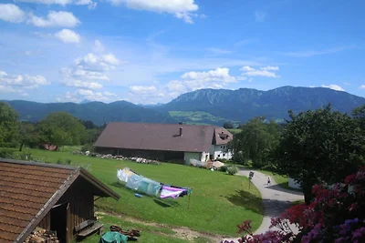 Ferienwohnung mit 2 Schlafzimmer