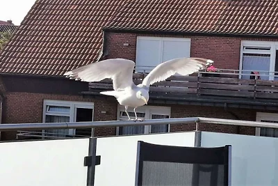 Ferienwohnung in Juist mit Schwimmbecken
