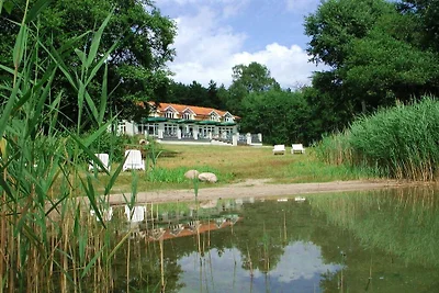 Kiwi Ferienwohnung 7