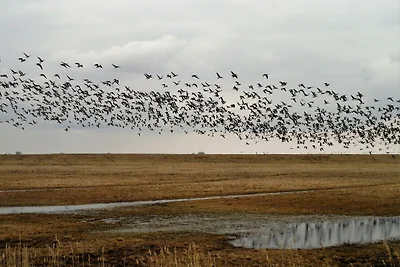 Direkte Umgebung (Sommer) (<1 km) Direkte Umgebung (Sommer) (<1 km)