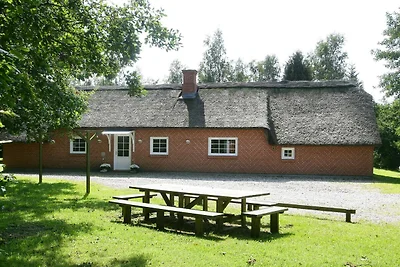 12 Personen Ferienhaus in Væggerløse-By Traum