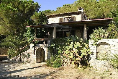 Ferienhaus mit 1 Schlafzimmer