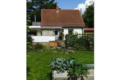 Wohnung mit 1 Schlafzimmer