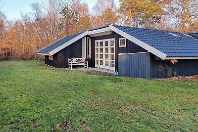 5 Sterne Ferienhaus in Skælskør