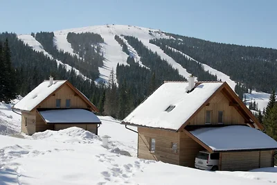 Chalet in den Alpen mit Sauna