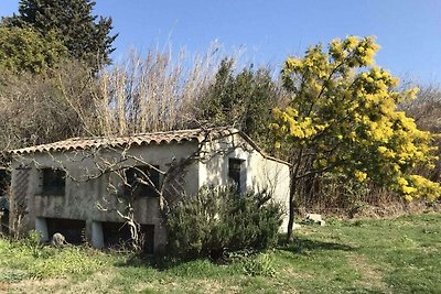 Tranquilla casa vacanze con piscina