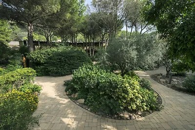 Appartements en bord de mer à Alghero
