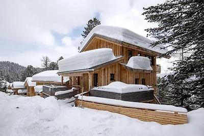 Chalet in Austria vicino pista e sauna