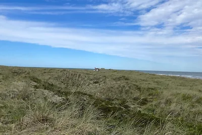 8 persoons vakantie huis in Læsø