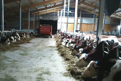 Ferienwohnung mit 2 Schlafzimmer