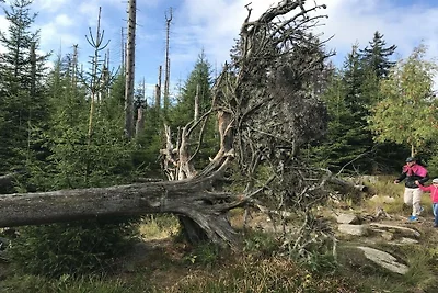 Appartement met één slaapkamer