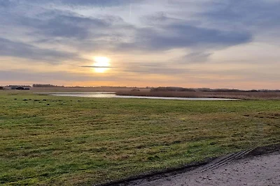 14 persone case ad Løkken