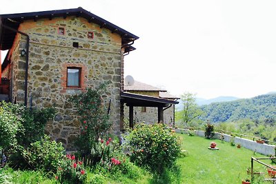 Gemütliches Ferienhaus in Canossa mit Pool