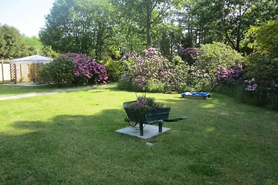 Maison de vacances à Aurich avec piscine