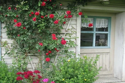 Ferienhaus Corinna