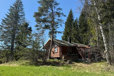 4 Sterne Ferienhaus in Grimstad