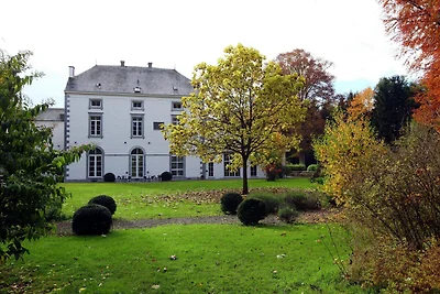 Lussuosa villa Mettet