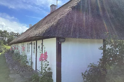 4 Sterne Ferienhaus in Læsø