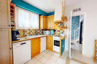 Die Möwe des Lebens