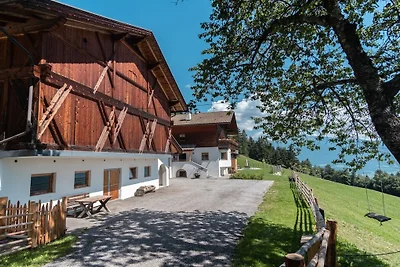 Chalet naturale Oberlechner