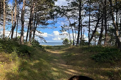 10 persoons vakantie huis in Ebeltoft-By...