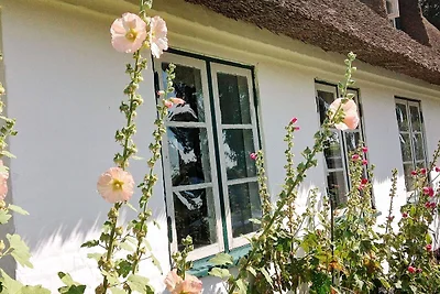 6 Personen Ferienhaus in Augustenborg