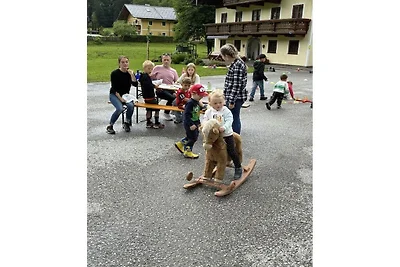 Almgut Farm || Faistenau