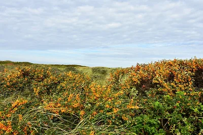 Abgeschiedenes Refugium am Strand -- By Traum...