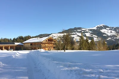Bauernhaus in Hopfgarten SkiWelt