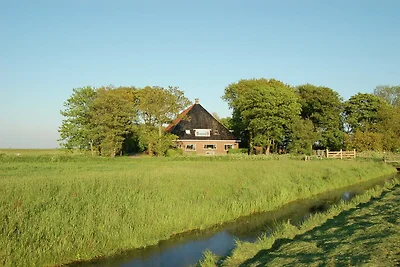 Neue Bauernhofwohnung in der Nähe von Workum