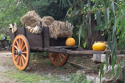 Im botanischen Garten