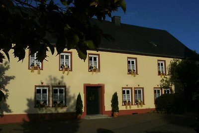 Geräumiges Landhaus in Morbach mit Terrasse