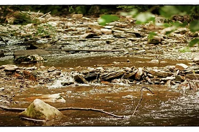 In de regio (zomer) (>5 km) In de regio (zomer) (>5 km)