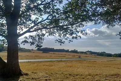 6 Personen Ferienhaus in Grevinge-By Traum