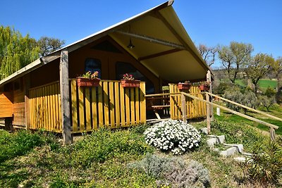 Luxe tent op boerderij met zwembad