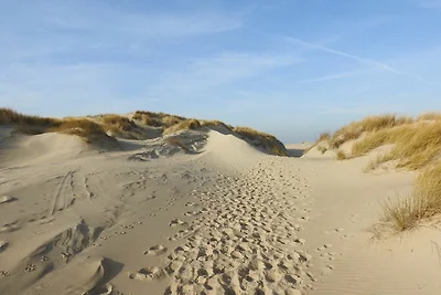 Vakantiehuis op Texel met eigen terras